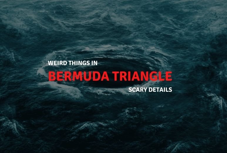 Weirdest Things Found in Bermuda Triangle