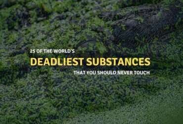 deadliest substances in the world