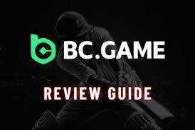 Exploring the World of BC Co A Comprehensive Guide