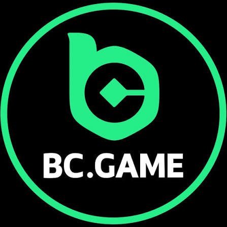 Exploring the World of BC Co A Comprehensive Guide