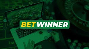 Experience the Thrill of Live Casino on BetWinner
